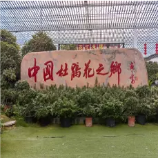 永福花卉中心