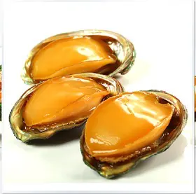 深土鲍鱼