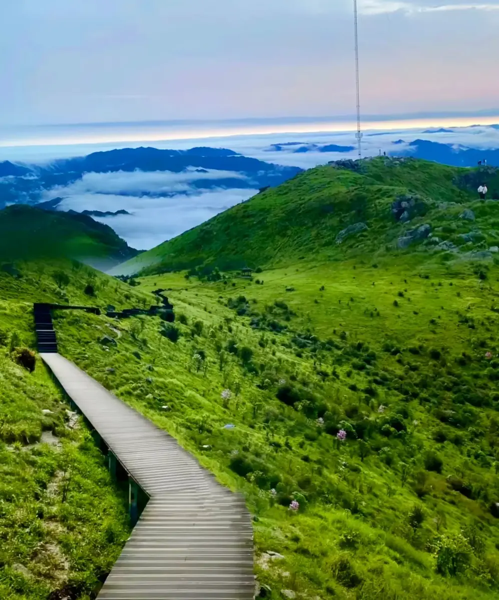 青娥山