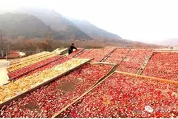 红果干